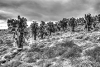 0624 Galapagos Hdr High Dynamic Range