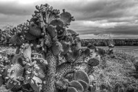 0629 Galapagos Hdr High Dynamic Range