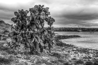 0635 Galapagos Hdr High Dynamic Range