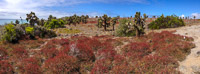0664 Galapagos Panorama 