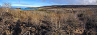 0717 Galapagos Panorama Santa Fe Island
