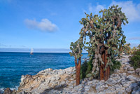 0738 Galapagos Hdr High Dynamic Range