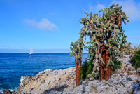 0739 Galapagos Hdr High Dynamic Range