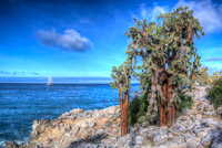 0740 Galapagos Hdr High Dynamic Range