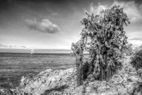 0741 Galapagos Hdr High Dynamic Range