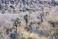 0751 Galapagos Hdr High Dynamic Range