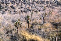 0752 Galapagos Hdr High Dynamic Range