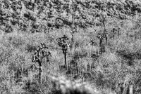 0753 Galapagos Hdr High Dynamic Range