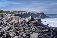 0793 Galapagos Hdr High Dynamic Range