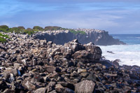 0794 Galapagos Hdr High Dynamic Range