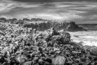 0796 Galapagos Hdr High Dynamic Range