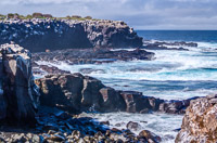 0812 Galapagos Hdr High Dynamic Range