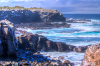 0813 Galapagos Hdr High Dynamic Range