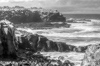 0814 Galapagos Hdr High Dynamic Range
