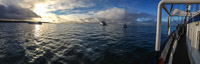 0910 Galapagos Panorama 