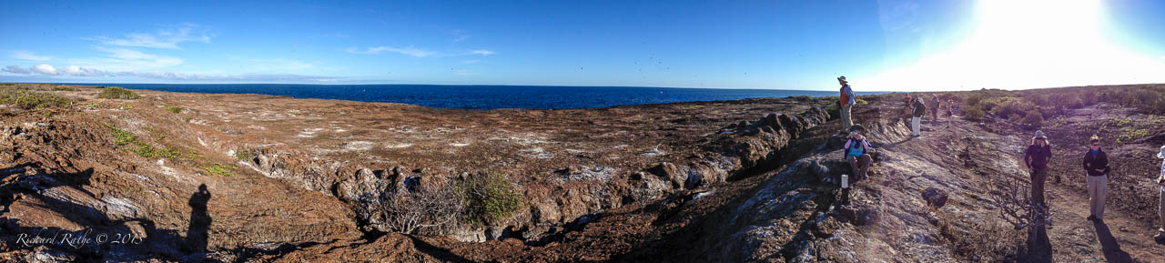Genovesa Bird Coast Panorama