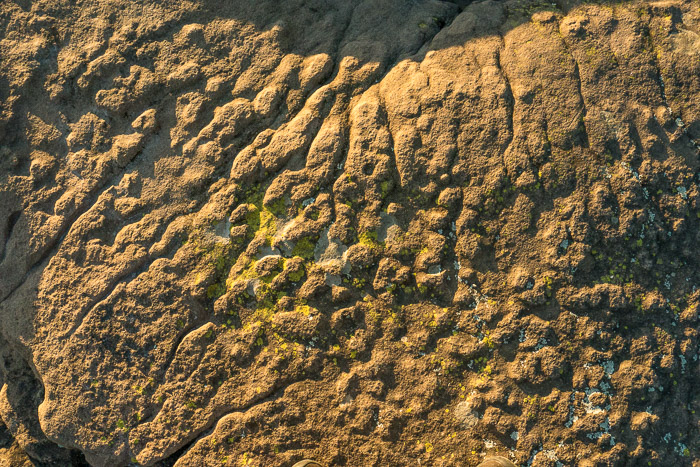 18 Garden Gods 2017 18