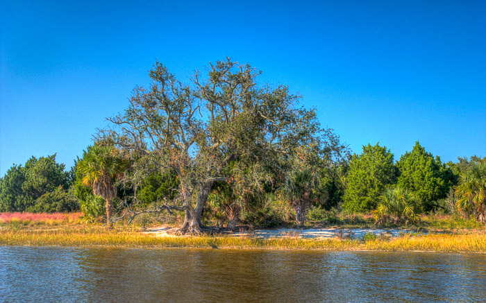 Live Oak Key (HDR)