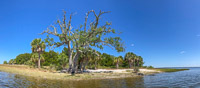 0004 Hall Creek 2021 Panorama Live Oak Key