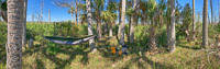 0010 Hall Creek 2021 Panorama Hall Creek Campsite