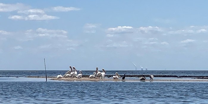 Crystal River Nuke Plant in the Distance