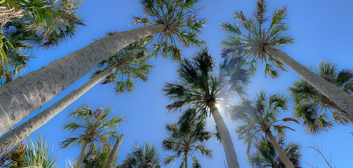 The View from My Hammock