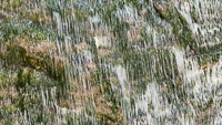 0014 Big Spring Guttenberg 2025 Slit Scan 