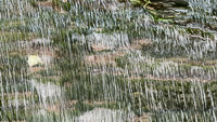 0015 Big Spring Guttenberg 2025 Slit Scan 