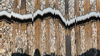 0017 Guttenberg 2025 Slit Scan 