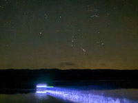 0040 Guttenberg 2025 Stars