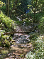 0043 Big Spring Guttenberg 2025 