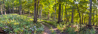 1012 Guttenberg 2025 Panorama Pikes Peak Iowa 