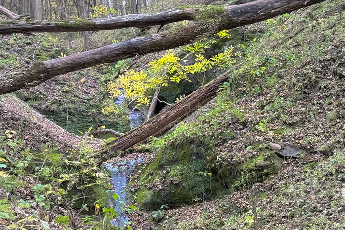 A Little Late Fall Color