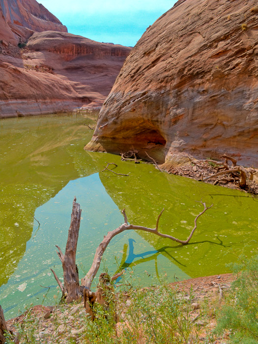 lake-powell-2020-22.jpg