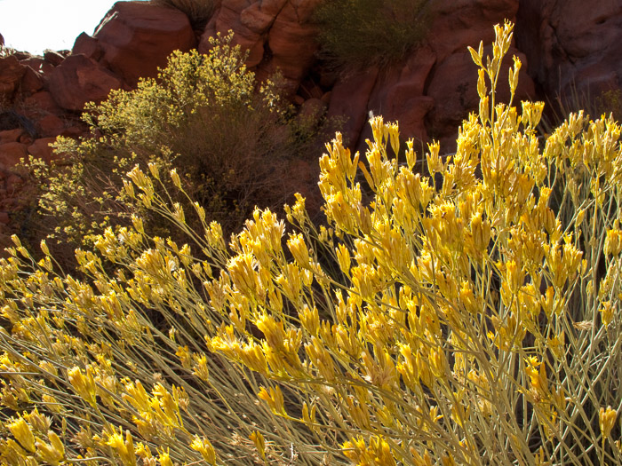 lake-powell-2020-69.jpg