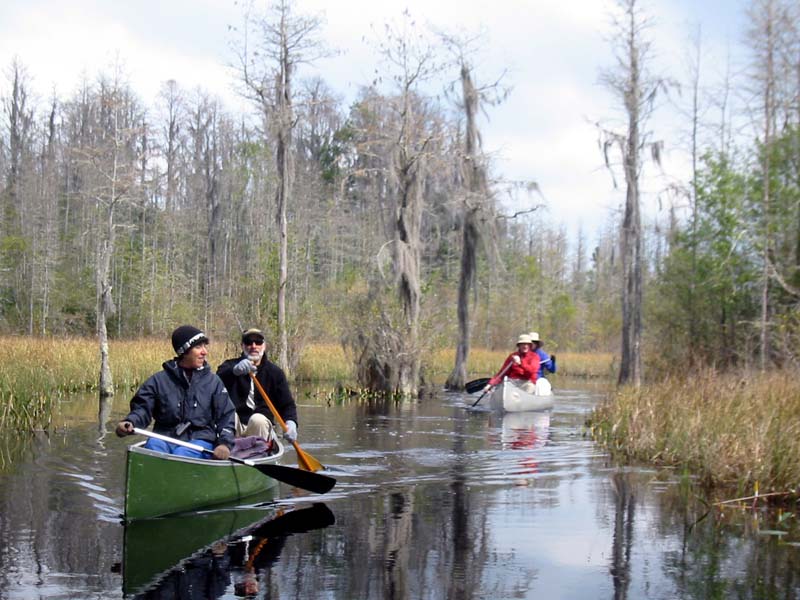 Upper Suwannee River