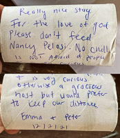 047 Document Okefenokee 2021 Nancy Pelosi