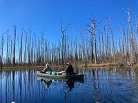 1035 Okefenokee 2024 Burnt Area