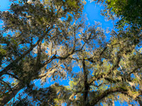 1046 Okefenokee 2024 Floyds Island