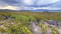 Nine Mile Canyon 018