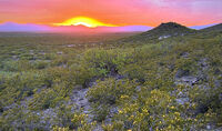 Nine Mile Canyon 030