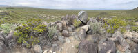 Nine Mile Canyon 046