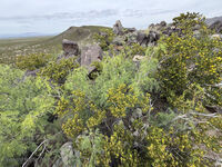 Nine Mile Canyon 047