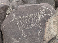 Nine Mile Canyon 049