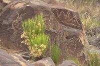 Nine Mile Canyon 091