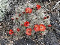Nine Mile Canyon 094