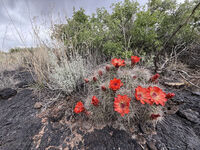 Nine Mile Canyon 095