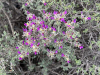 Nine Mile Canyon 103