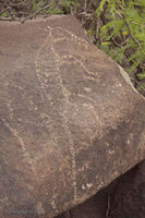 Nine Mile Canyon 107