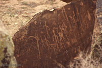 Petrified Forest 03